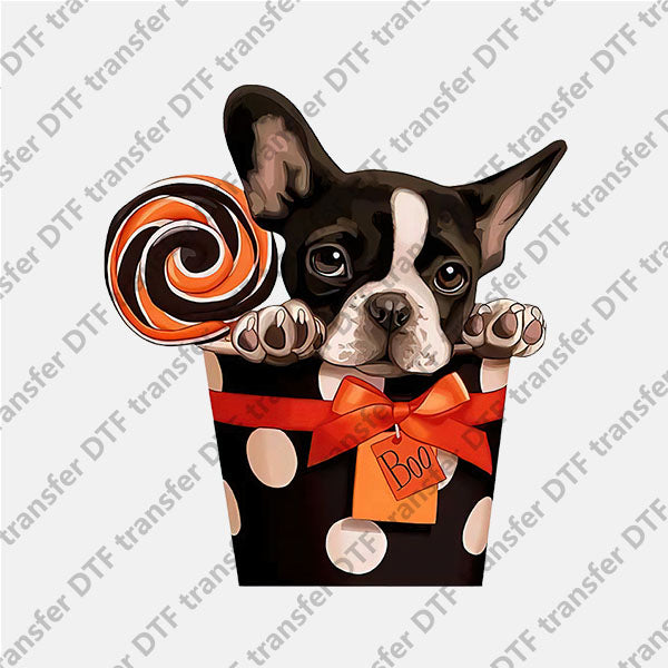 Valentine's Day Puppy Lollipop Gift DTF transfers VLT.047