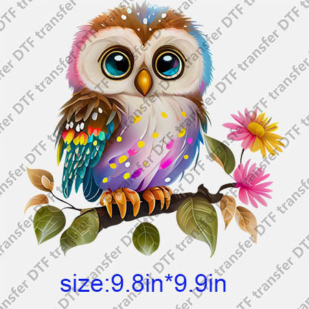 Animal Owl DTF transfer ANM.190