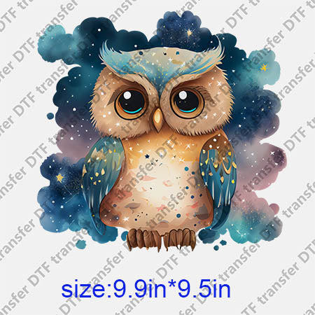 Animal Owl DTF transfer ANM.163