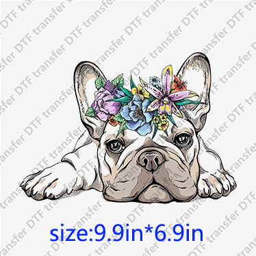 Bull dog flowers Animal DTF transfer ANM.063