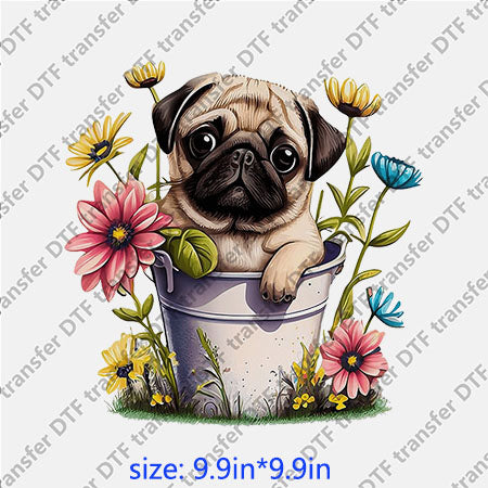 Puppy French bulldog flowers bucket animal DTF transfer ANM.107