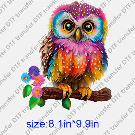 Animal Owl DTF transfer ANM.192