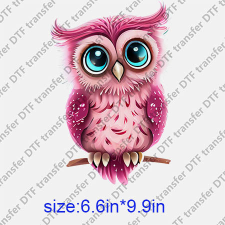 Animal Owl DTF transfer ANM.226