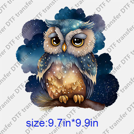 Animal Owl DTF transfer ANM.161