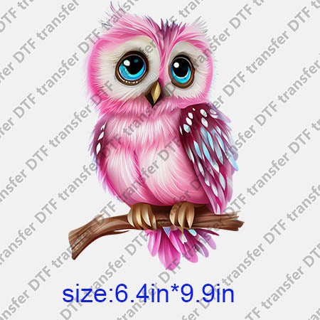 Animal Owl DTF transfer ANM.221