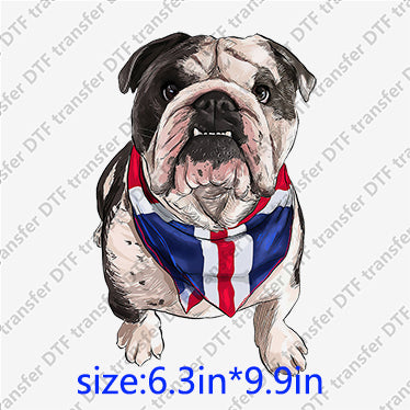 USA independent day bull dog with scarf bow glasses star flag Animal DTF transfer ANM.040