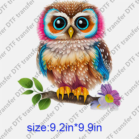 Animal Owl DTF transfer ANM.195