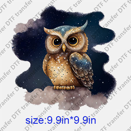 Animal Owl DTF transfer ANM.159