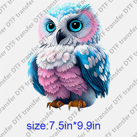 Animal Owl DTF transfer ANM.185