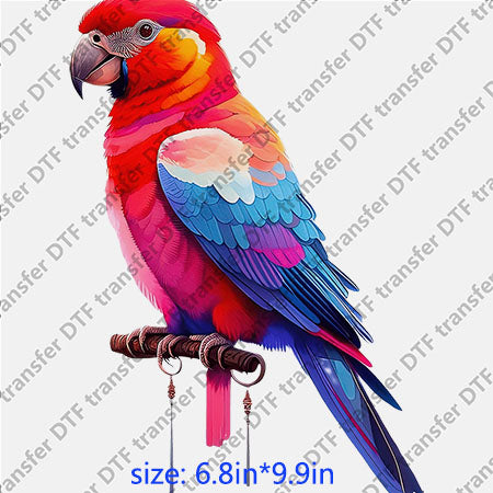 Parrot red purple and blue animal DTF transfer ANM.125