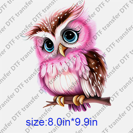 Animal Owl DTF transfer ANM.224