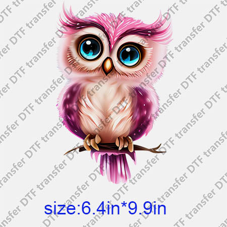 Animal Owl DTF transfer ANM.225