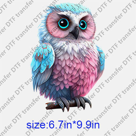 Animal Owl DTF transfer ANM.186