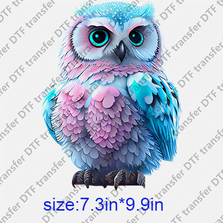 Animal Owl DTF transfer ANM.187