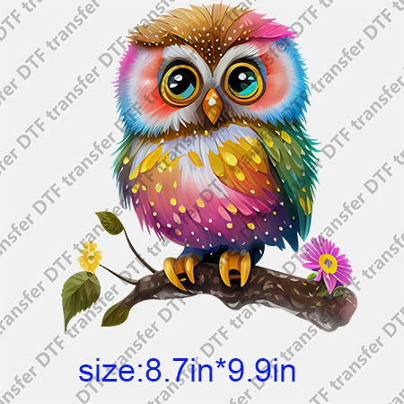 Animal Owl DTF transfer ANM.193