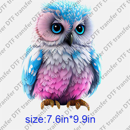 Animal Owl DTF transfer ANM.184