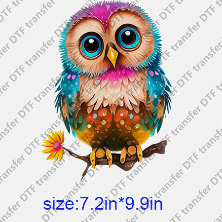 Animal Owl DTF transfer ANM.191