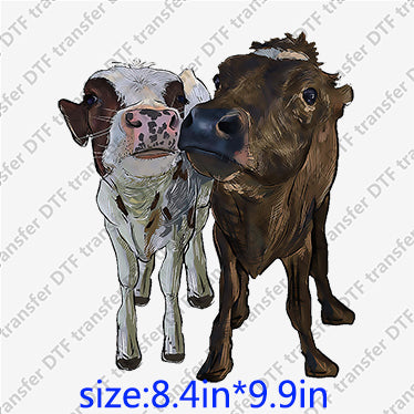 Heifer cow bull couple Animal DTF transfer ANM.055