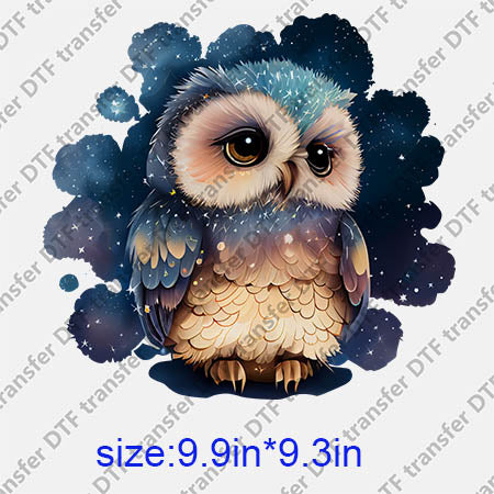 Animal Owl DTF transfer ANM.162