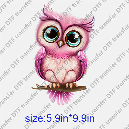 Animal Owl DTF transfer ANM.223