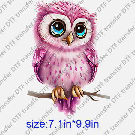 Animal Owl DTF transfer ANM.219