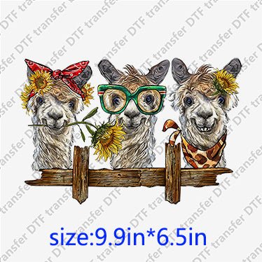 Llamas with glasses bow sunflowers Animal DTF transfer ANM.071