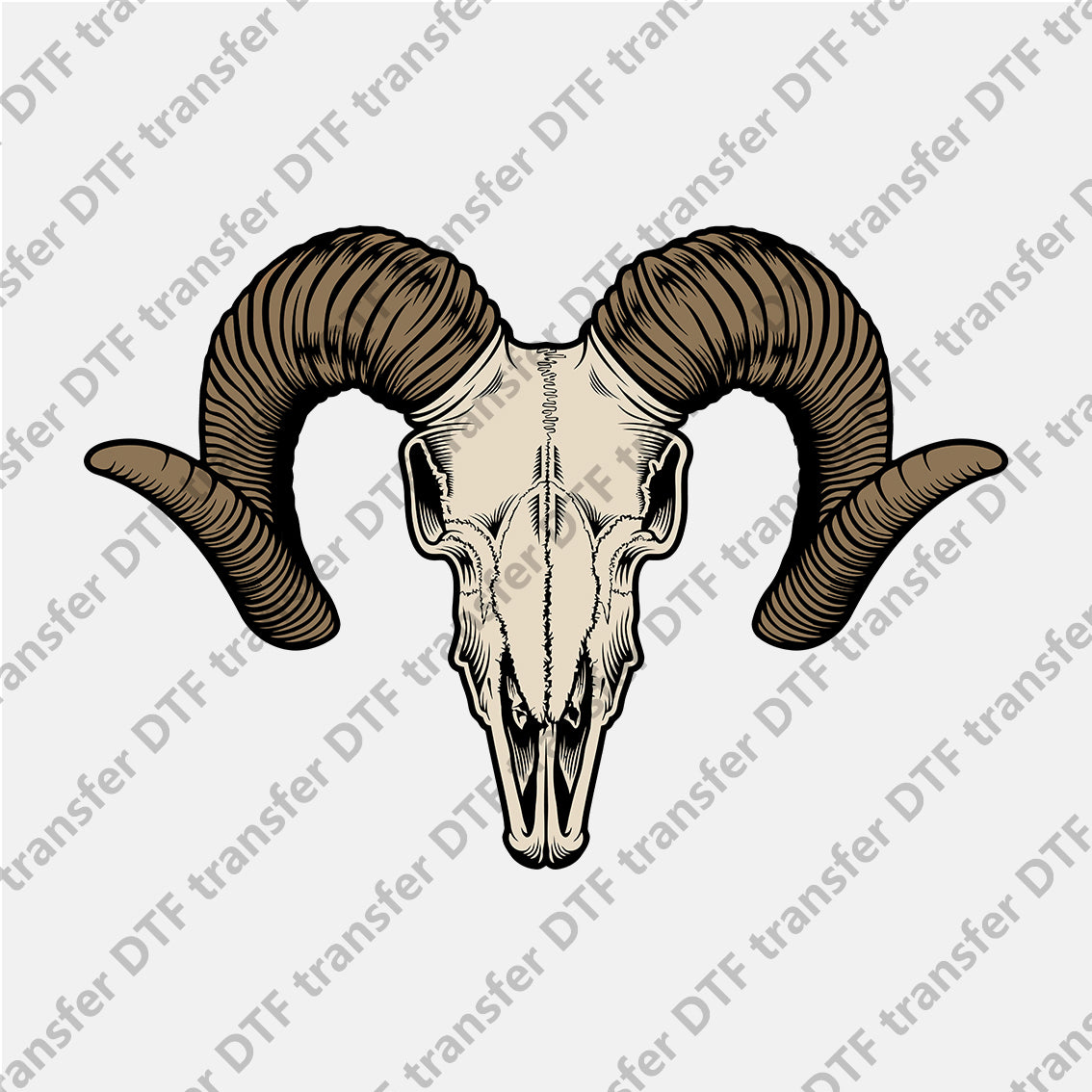 Rolled Horn Sheep Skull Animal DTF transfers CHA.010