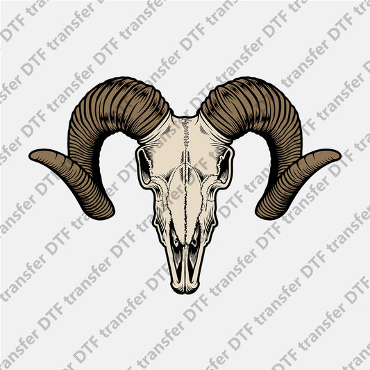 Rolled Horn Sheep Skull Animal DTF transfers CHA.010