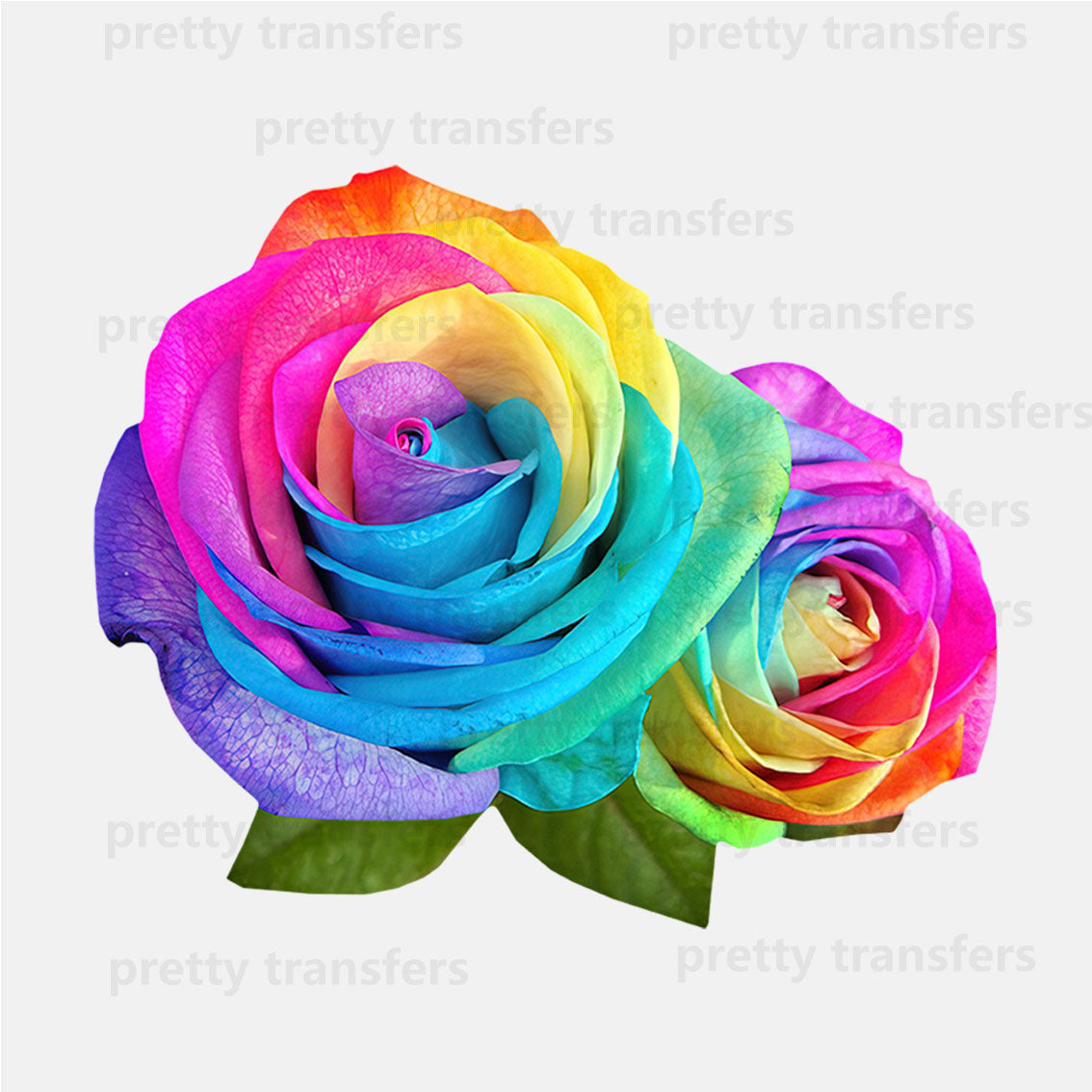 Colorful Rose DTF transfers NO.141