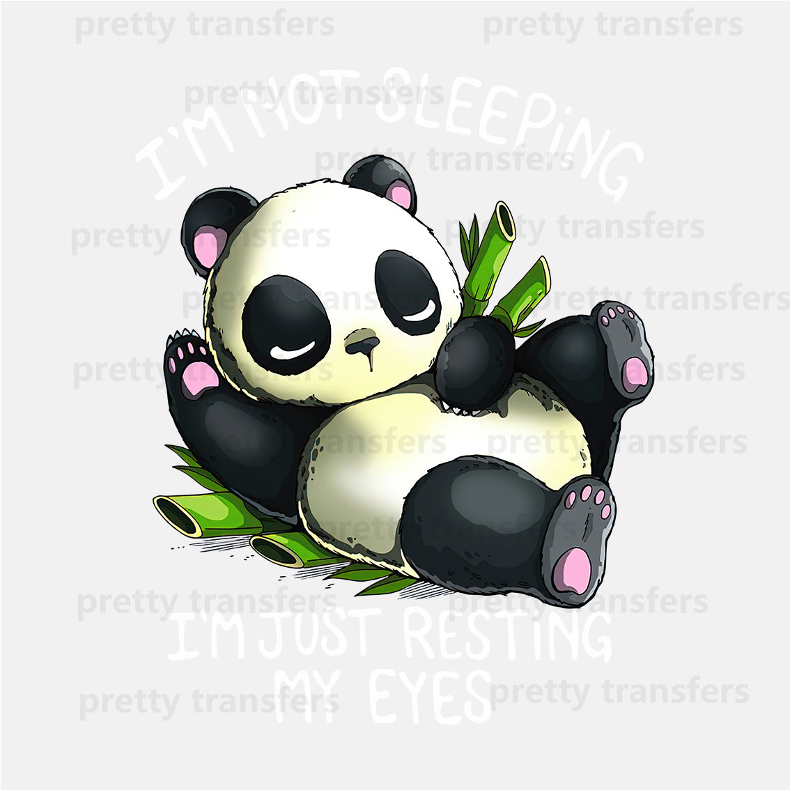 Sleeping Panda Letter Animal DTF transfers NO.647