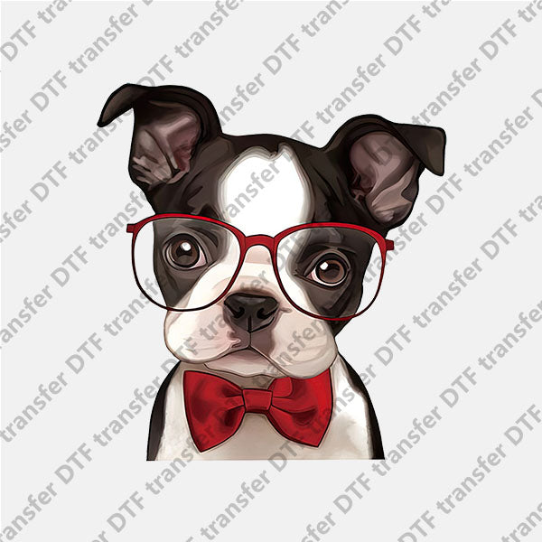 Valentine's Day Cute Glasses Puppy Animal DTF transfers VLT.062