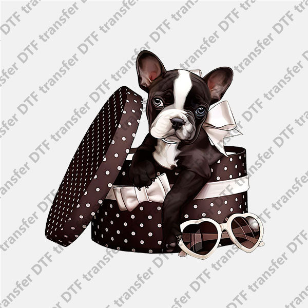 Valentine's Day Black Dot Gift Puppy Animal DTF transfers VLT.068