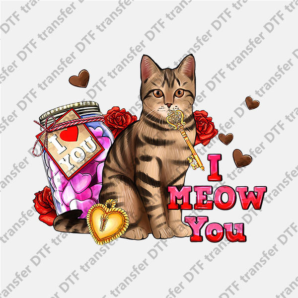 Valentine's Day I Meow You Kitty Animal DTF transfers VLT.093